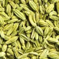 Fennel Seeds