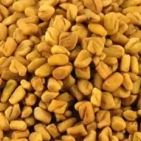 Fenugreek Seeds / Powder
