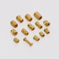 Brass Insert