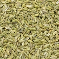 Fennel Seeds
