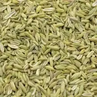 Fennel Seeds