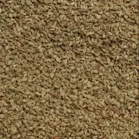 Carom Seeds