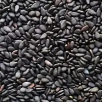 Black Sesame Seeds