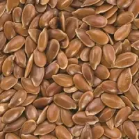 Flaxseed