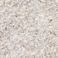 Psyllium Husk