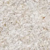 Psyllium Husk