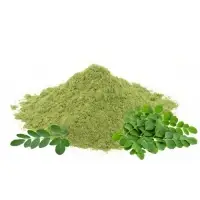 Moringa