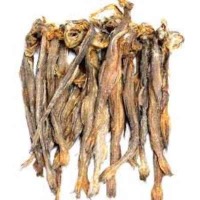 Dried Fish