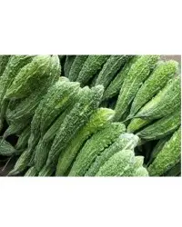Fresh Bitter Gourd