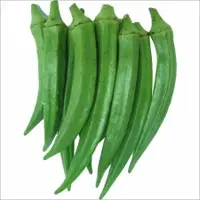 Fresh Ladyfinger