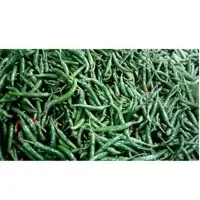 Fresh Green Chilli