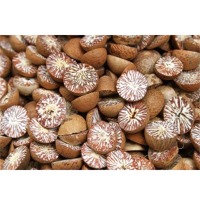 Betel Nuts
