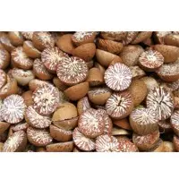 Betel Nuts
