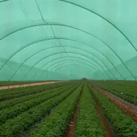 Agriplast Shade Nets (Black, White & Green)