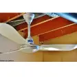 Ceiling Fan (industrial / Domestic)