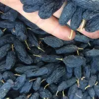 White, Black And Red Dried Grapes, Raisins.