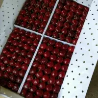 Fresh Cherry Fruits