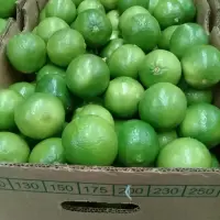 Lime