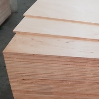 Birch Plywood