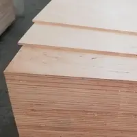 Birch Plywood