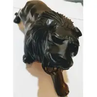 Long Wood Lion