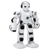 Remote Control Robot Toys