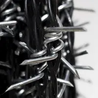 Barbed Wire