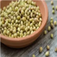 Coriander Seeds