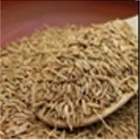 Cumin Seeds