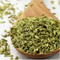Fennel Seeds