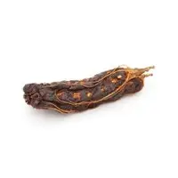 Sour Tamarind With Seed