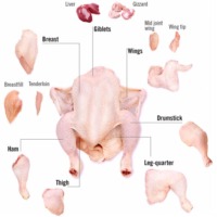 Frozen Chicken
