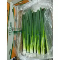 Spring Onions
