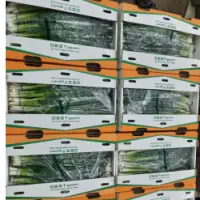 Spring Onions