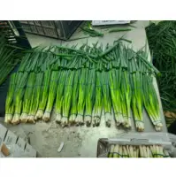 Spring Onions