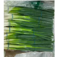 Spring Onions