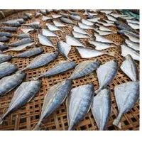 DRied Salted Fish