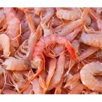 Dry Shrimp Without Shell