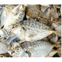 Dryfish Mullet (mullan)