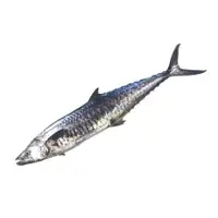 Seer Fish