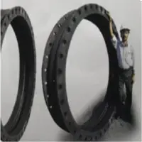 Expansion Bellow