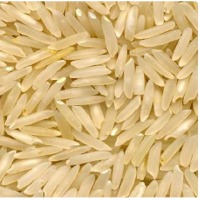 1509 Basmati Rice