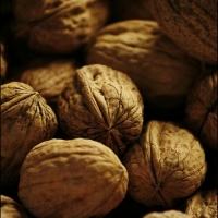 Walnut