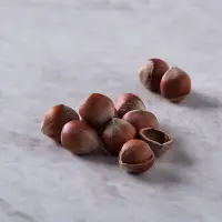Inshell Hazelnut
