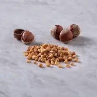 Hazelnut Croquant