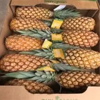 Pineapple