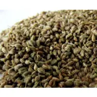 Carom Seeds, Thymol, Celery Seeds
