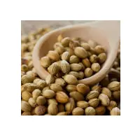 Coriander, Cilantro seeds
