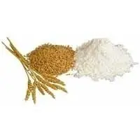 Wheat Flour
