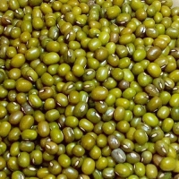Green Gram, Mung Bean - Haare Moonug